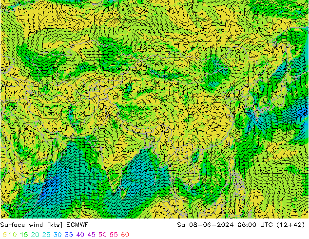  10 m ECMWF  08.06.2024 06 UTC