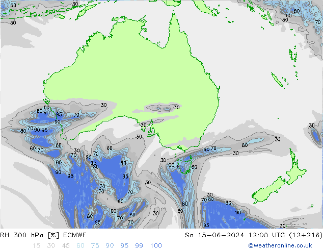 Humedad rel. 300hPa ECMWF sáb 15.06.2024 12 UTC