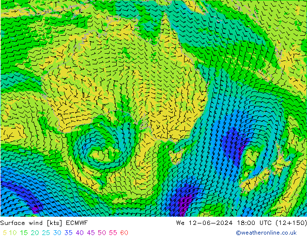 Surface wind ECMWF We 12.06.2024 18 UTC