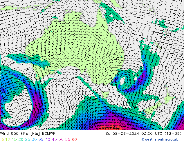 ветер 900 гПа ECMWF сб 08.06.2024 03 UTC