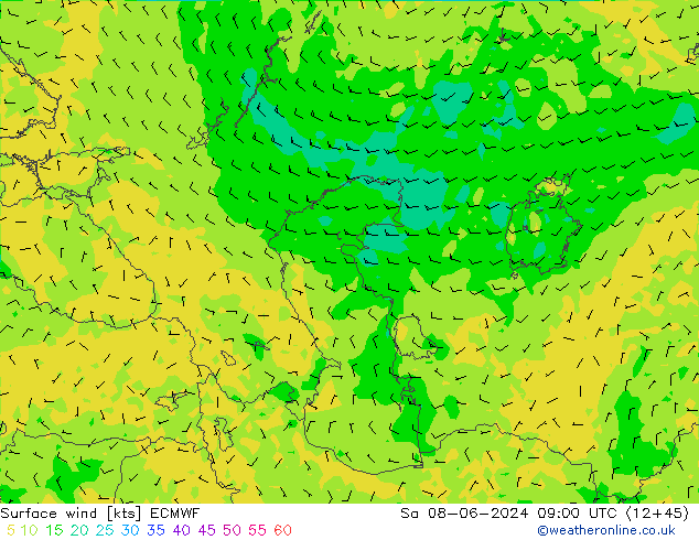 Surface wind ECMWF Sa 08.06.2024 09 UTC