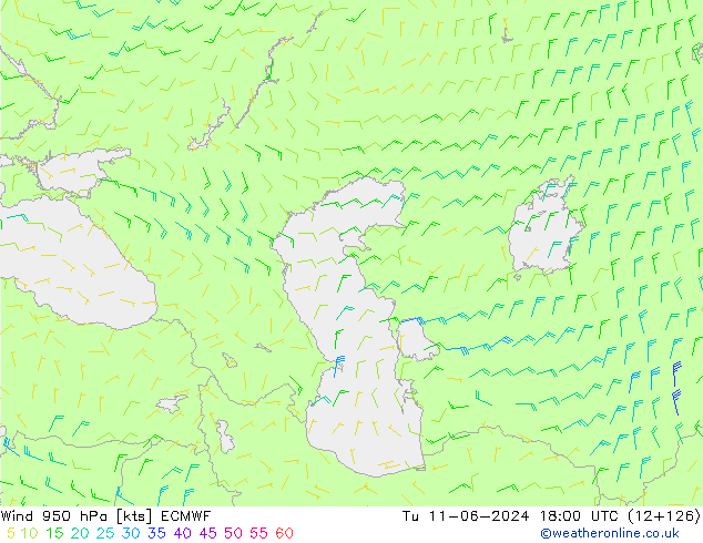 Wind 950 hPa ECMWF Tu 11.06.2024 18 UTC