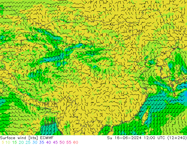 风 10 米 ECMWF 星期日 16.06.2024 12 UTC