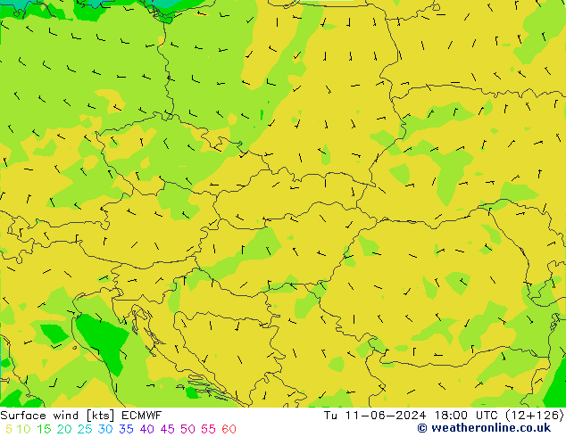 ветер 10 m ECMWF вт 11.06.2024 18 UTC