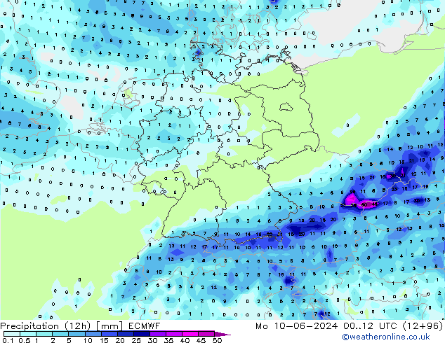 Yağış (12h) ECMWF Pzt 10.06.2024 12 UTC