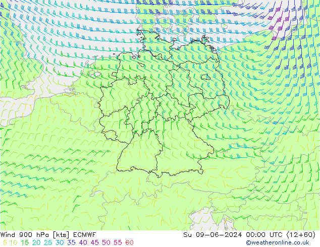 Rüzgar 900 hPa ECMWF Paz 09.06.2024 00 UTC