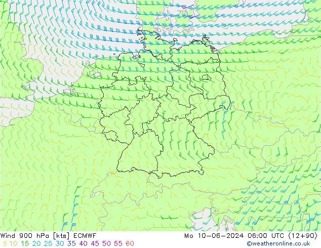 Rüzgar 900 hPa ECMWF Pzt 10.06.2024 06 UTC