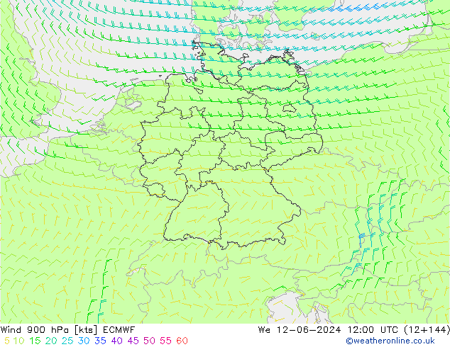 Wind 900 hPa ECMWF wo 12.06.2024 12 UTC