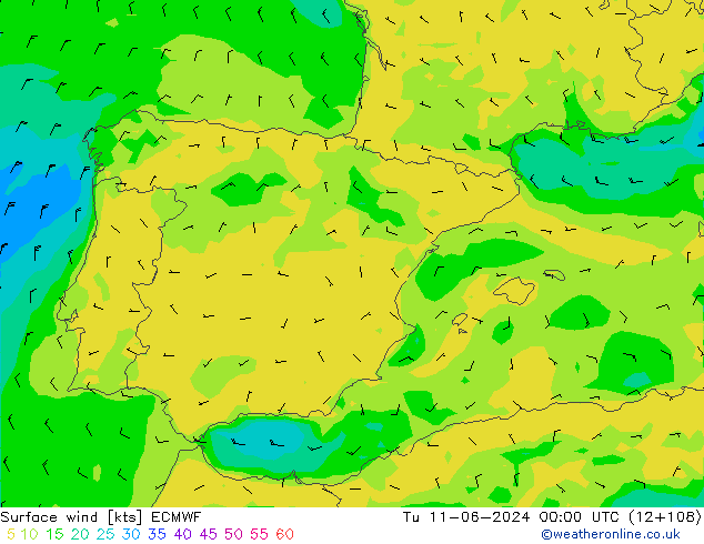 Surface wind ECMWF Út 11.06.2024 00 UTC