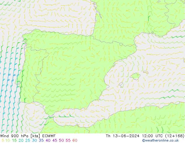 Wind 900 hPa ECMWF Th 13.06.2024 12 UTC