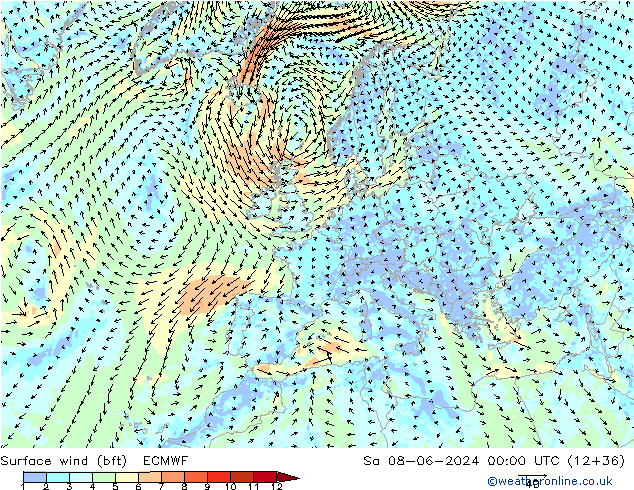 Wind 10 m (bft) ECMWF za 08.06.2024 00 UTC