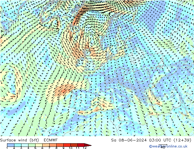 Surface wind (bft) ECMWF So 08.06.2024 03 UTC