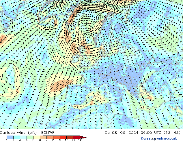 Surface wind (bft) ECMWF Sa 08.06.2024 06 UTC