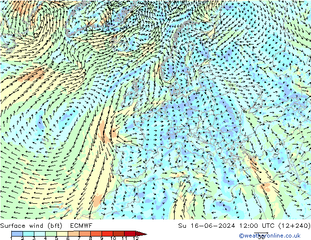 Surface wind (bft) ECMWF Su 16.06.2024 12 UTC