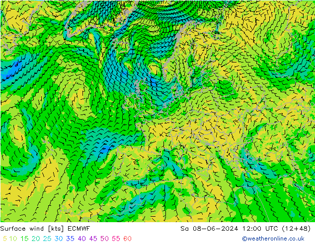 Bodenwind ECMWF Sa 08.06.2024 12 UTC