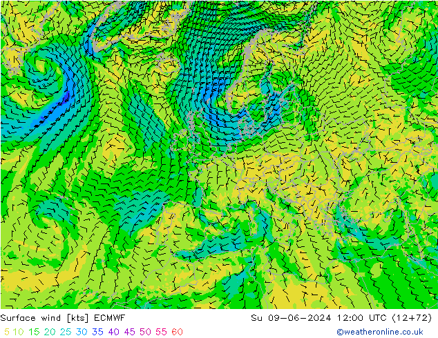 Bodenwind ECMWF So 09.06.2024 12 UTC