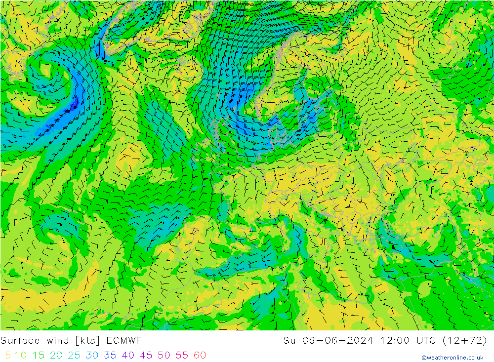 Vent 10 m ECMWF dim 09.06.2024 12 UTC