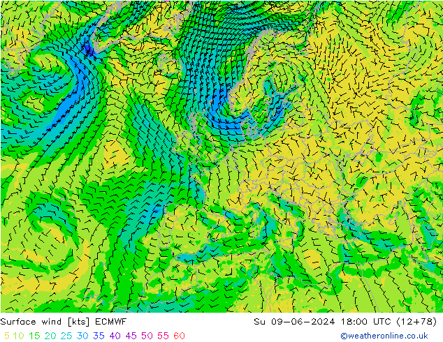 ветер 10 m ECMWF Вс 09.06.2024 18 UTC