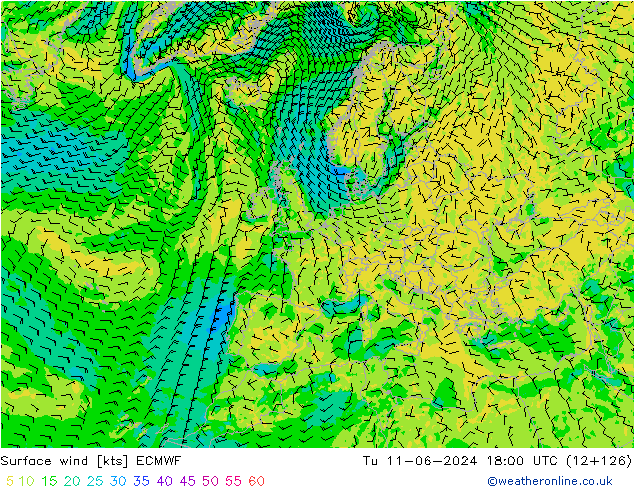 Surface wind ECMWF Út 11.06.2024 18 UTC