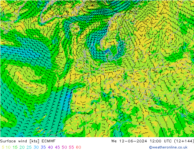 Bodenwind ECMWF Mi 12.06.2024 12 UTC