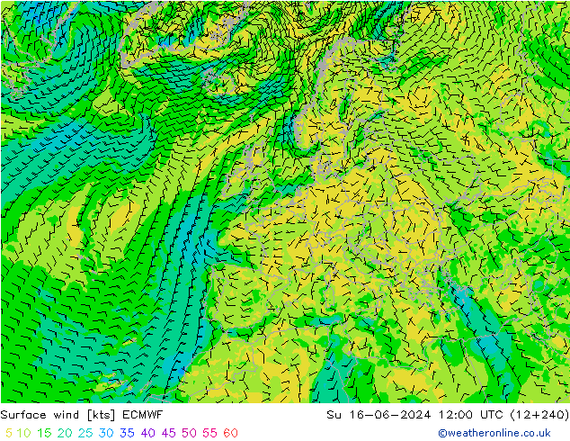 Vento 10 m ECMWF dom 16.06.2024 12 UTC