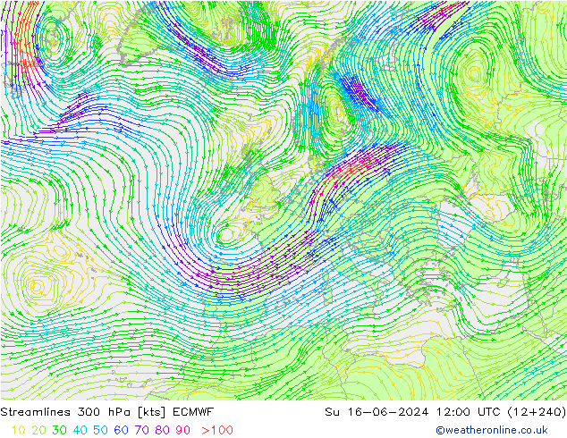 Streamlines 300 hPa ECMWF Su 16.06.2024 12 UTC