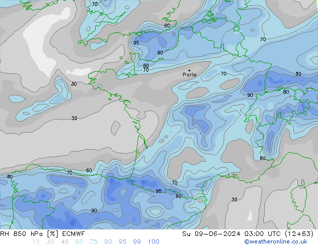 RH 850 гПа ECMWF Вс 09.06.2024 03 UTC