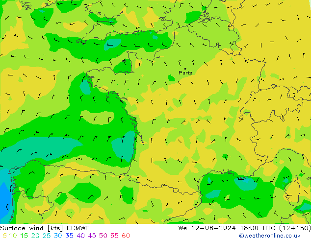 ветер 10 m ECMWF ср 12.06.2024 18 UTC