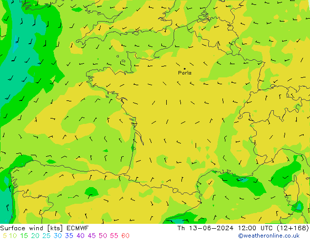 ветер 10 m ECMWF чт 13.06.2024 12 UTC