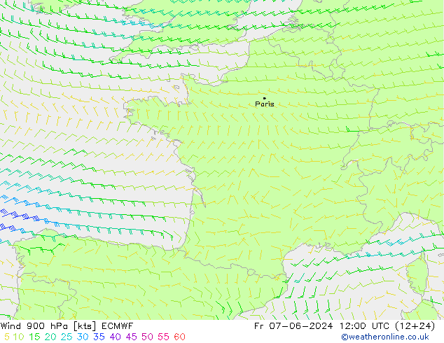 Rüzgar 900 hPa ECMWF Cu 07.06.2024 12 UTC
