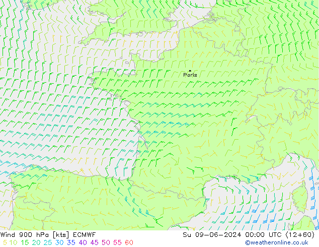 Rüzgar 900 hPa ECMWF Paz 09.06.2024 00 UTC