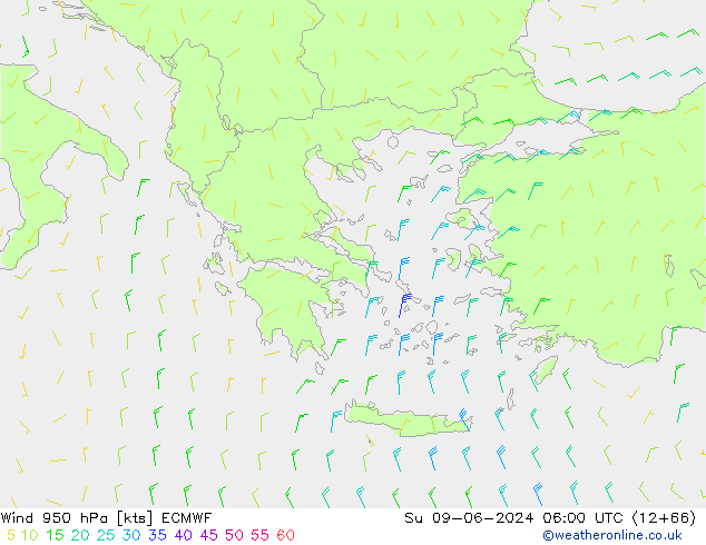  950 hPa ECMWF  09.06.2024 06 UTC