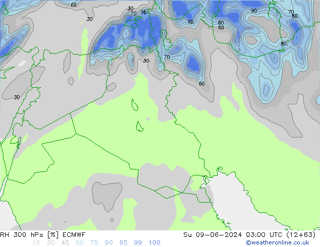 Humidité rel. 300 hPa ECMWF dim 09.06.2024 03 UTC