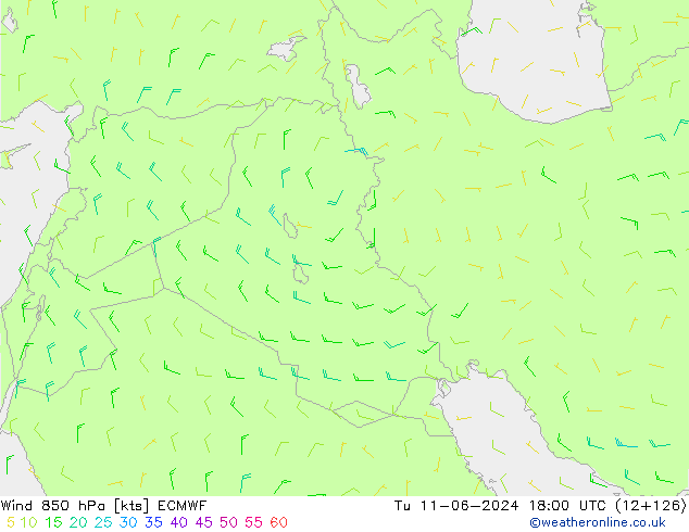 Rüzgar 850 hPa ECMWF Sa 11.06.2024 18 UTC