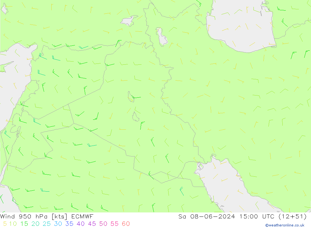 Wind 950 hPa ECMWF Sa 08.06.2024 15 UTC