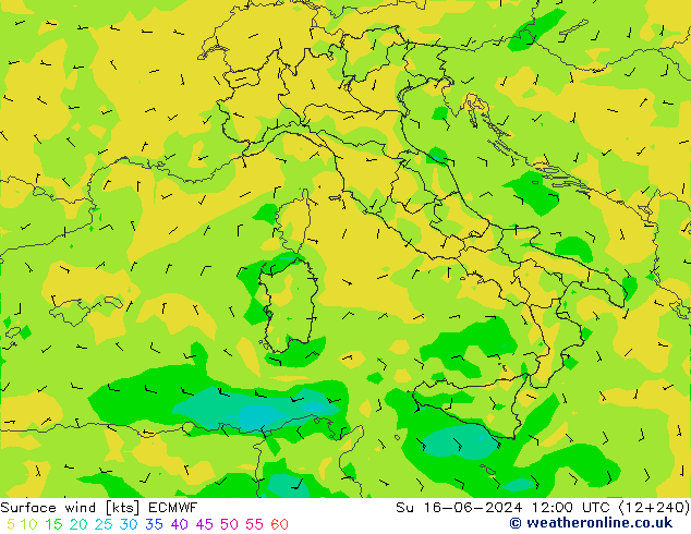 Wind 10 m ECMWF zo 16.06.2024 12 UTC