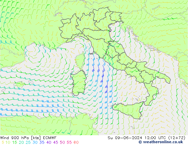 Wind 900 hPa ECMWF Su 09.06.2024 12 UTC