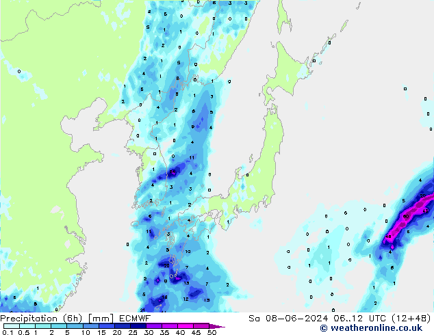 Z500/Regen(+SLP)/Z850 ECMWF za 08.06.2024 12 UTC