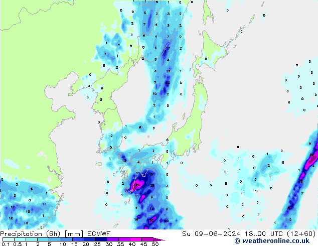 Z500/Rain (+SLP)/Z850 ECMWF So 09.06.2024 00 UTC