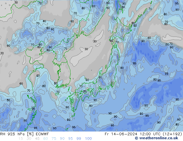 Humedad rel. 925hPa ECMWF vie 14.06.2024 12 UTC