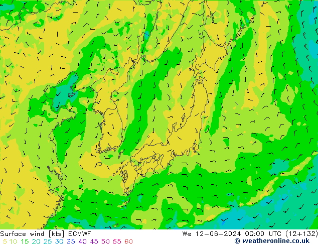 Vent 10 m ECMWF mer 12.06.2024 00 UTC