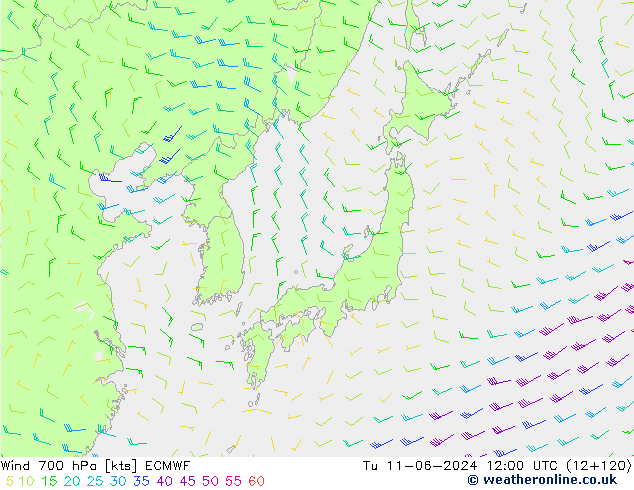 Wind 700 hPa ECMWF Di 11.06.2024 12 UTC