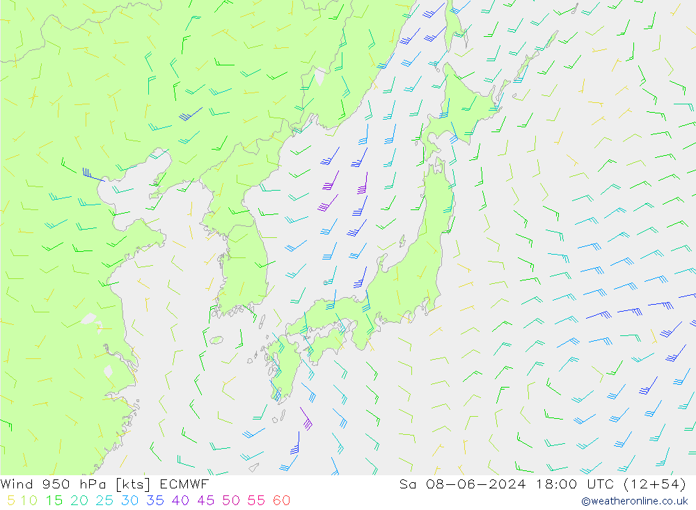 Wind 950 hPa ECMWF Sa 08.06.2024 18 UTC