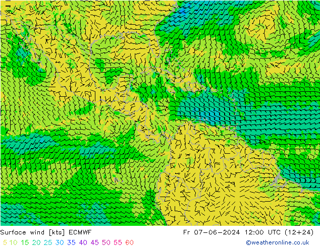 Surface wind ECMWF Fr 07.06.2024 12 UTC