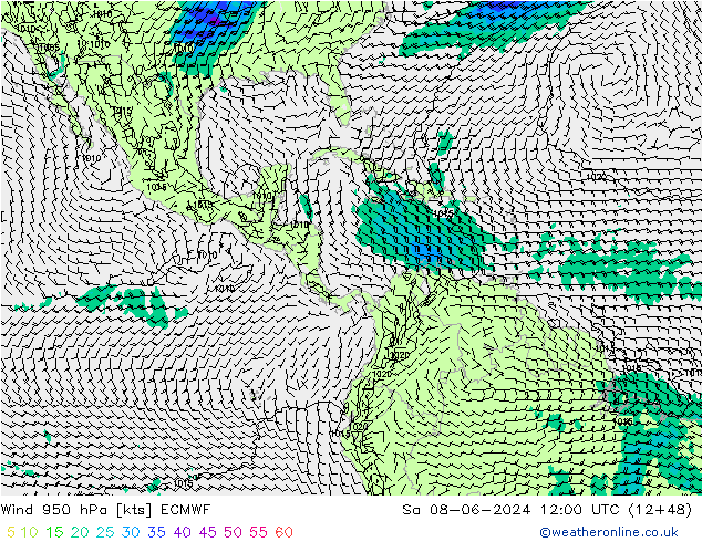  950 hPa ECMWF  08.06.2024 12 UTC