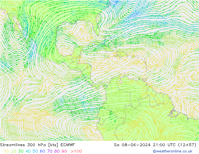 Streamlines 300 hPa ECMWF Sa 08.06.2024 21 UTC