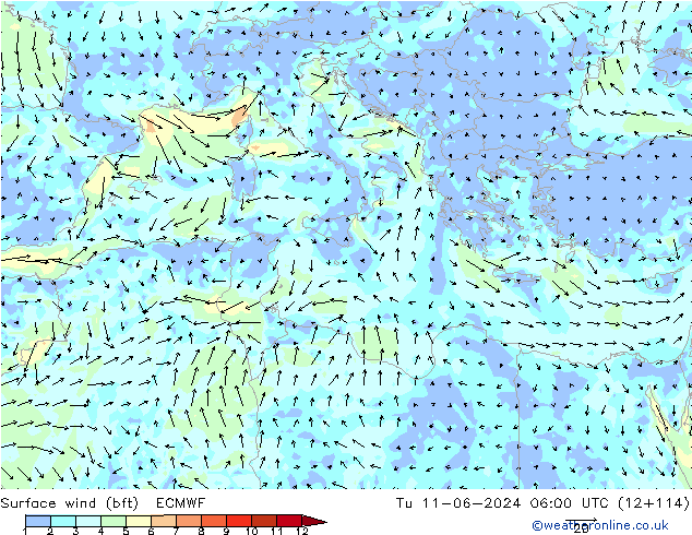 Surface wind (bft) ECMWF Út 11.06.2024 06 UTC