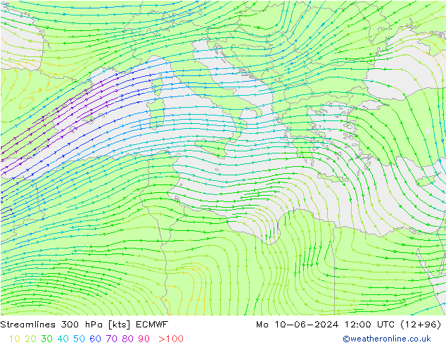 Stroomlijn 300 hPa ECMWF ma 10.06.2024 12 UTC