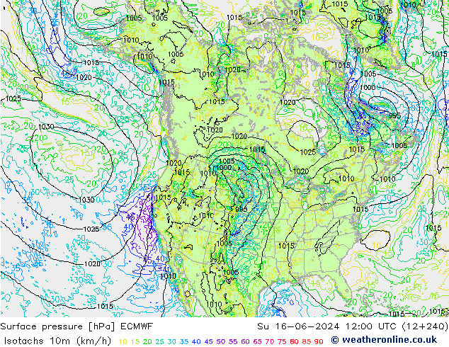 Isotachen (km/h) ECMWF So 16.06.2024 12 UTC