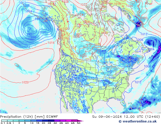 Precipitação (12h) ECMWF Dom 09.06.2024 00 UTC